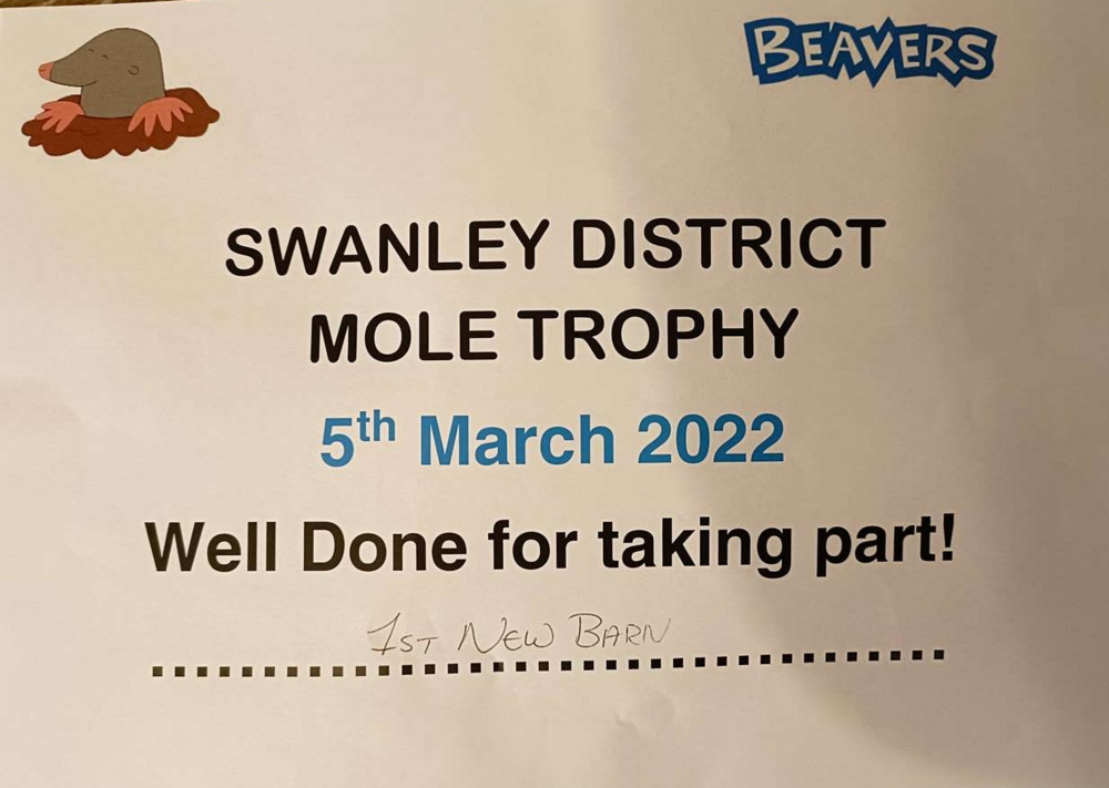 Mole Trophy